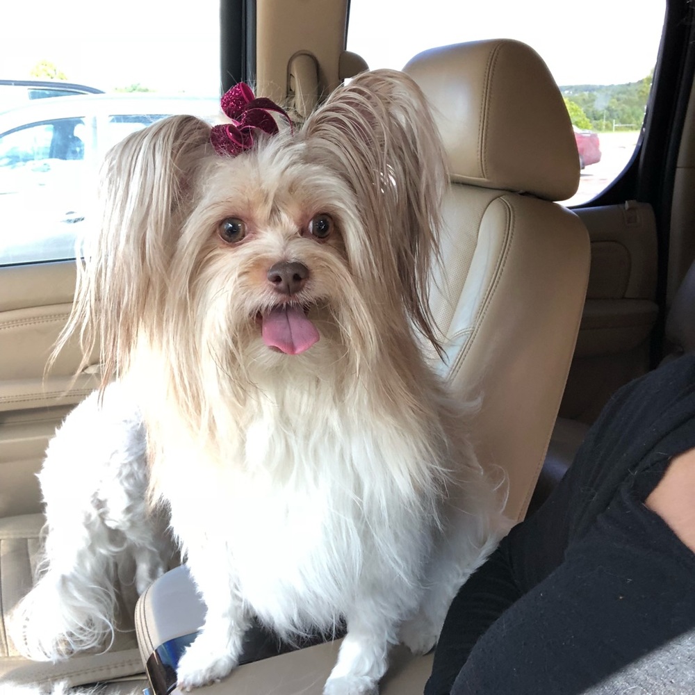 Meet your Posher, Melissa